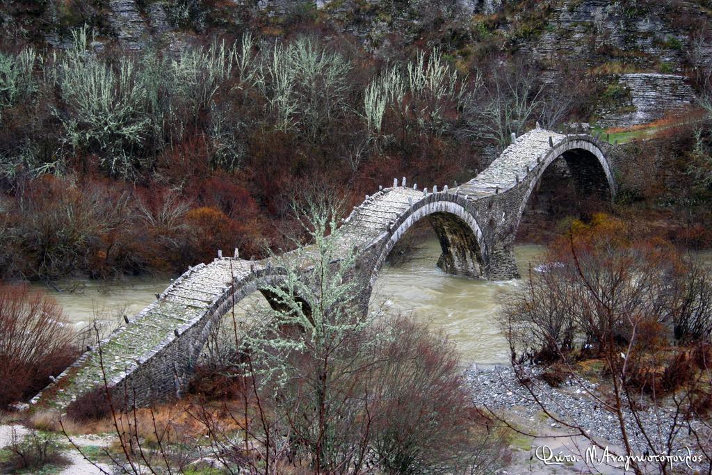 Arkefthos Mountain Hotel Πάπιγκο Εξωτερικό φωτογραφία