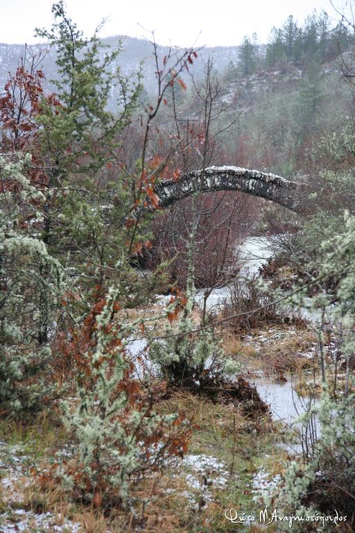 Arkefthos Mountain Hotel Πάπιγκο Εξωτερικό φωτογραφία