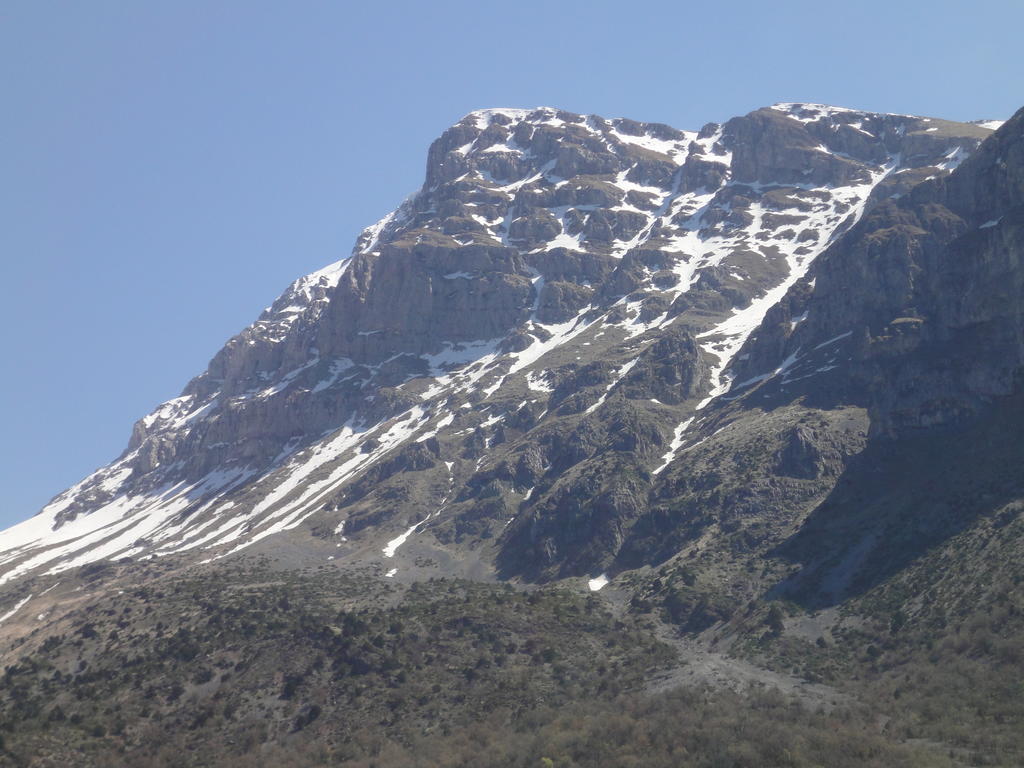 Arkefthos Mountain Hotel Πάπιγκο Εξωτερικό φωτογραφία